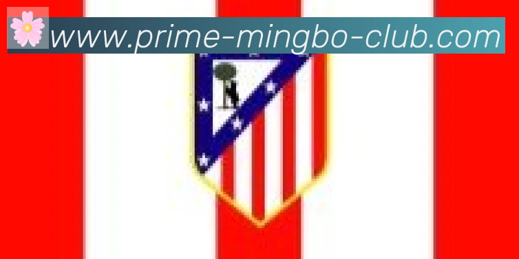 明博体育官网合作伙伴